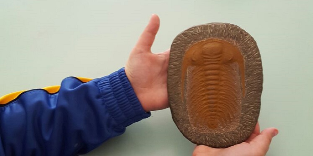 Lezione con l'archeologo