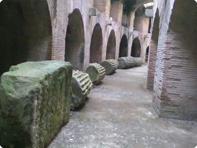 Scuola primaria - Visite didattiche